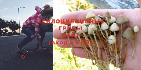 трава Киренск